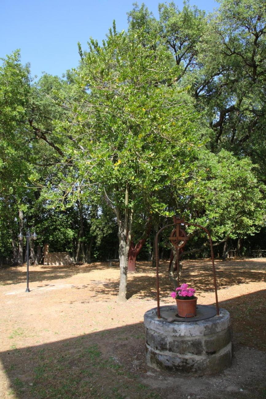 Agriturismo Casale Zuccari Caprarola Bagian luar foto