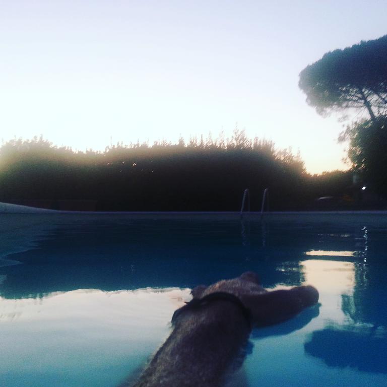 Agriturismo Casale Zuccari Caprarola Bagian luar foto